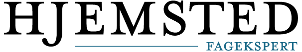 Stantoma-Service v/Tomas Stankevicius logo